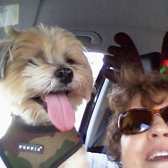 Meet your Posher, Erina - Picture 3 of 3